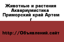 Животные и растения Аквариумистика. Приморский край,Артем г.